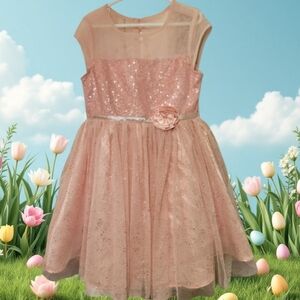Spring Jona Michelle Girls‎ Dress Sheer Sequin Glitter Pink Summer Feminine SZ 7